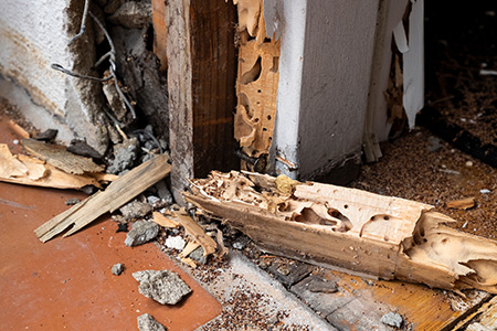 Termite Inspections in Arkansas | Delta Pest Control Inc